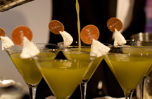 2010 Charity Ball Image