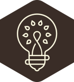 Lightbulb Icon